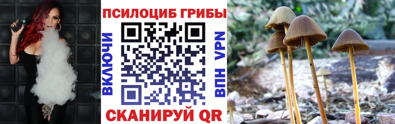 где найти   Алагир  Псилоцибиновые грибы ЛСД 
